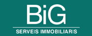 big-serveis-logo big-serveis-logo